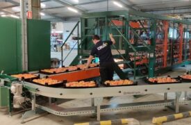 Crux Agribotics