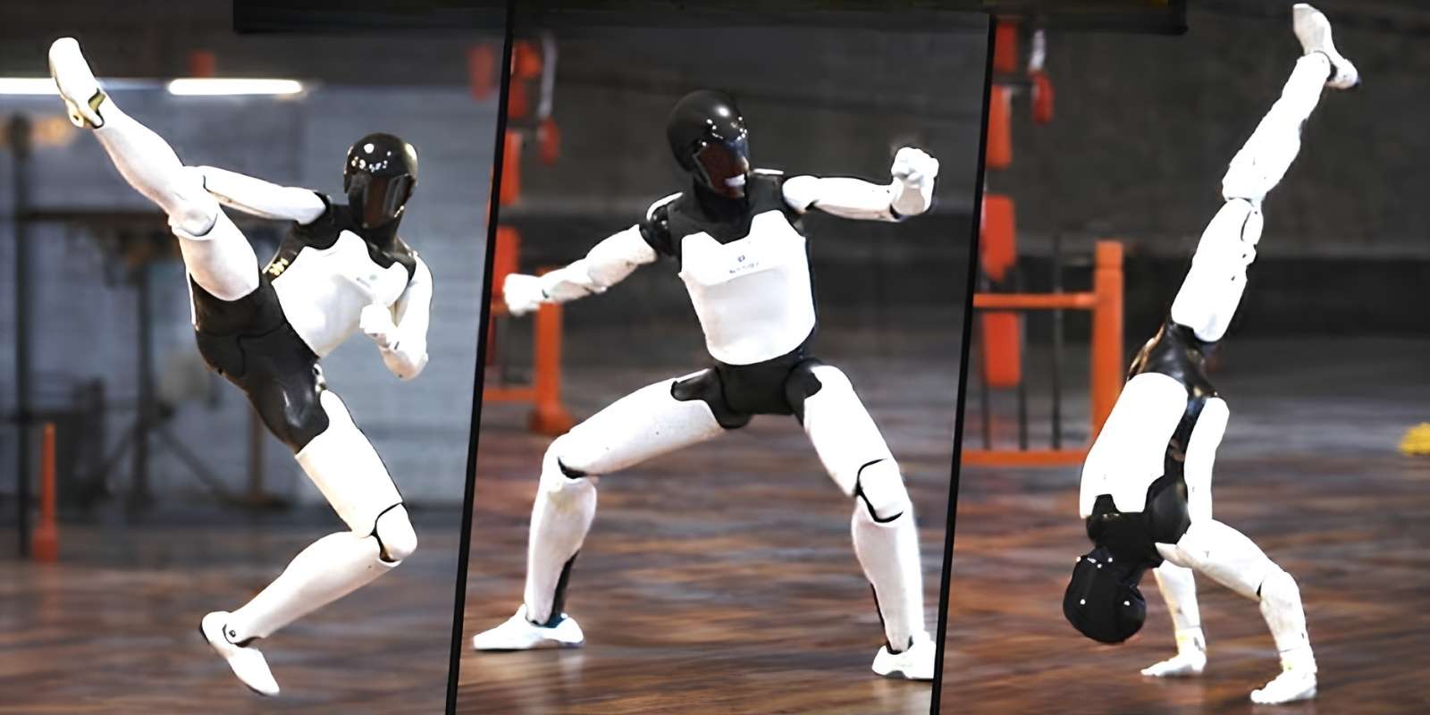 Kung fu robot