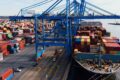 Exportgroei Haven Container